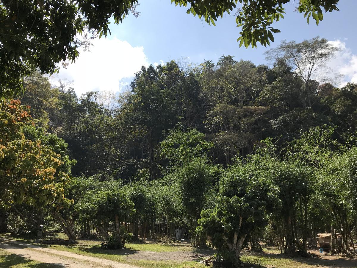 สวนฉัน Igarden Ξενοδοχείο Ban Pang Champi Εξωτερικό φωτογραφία
